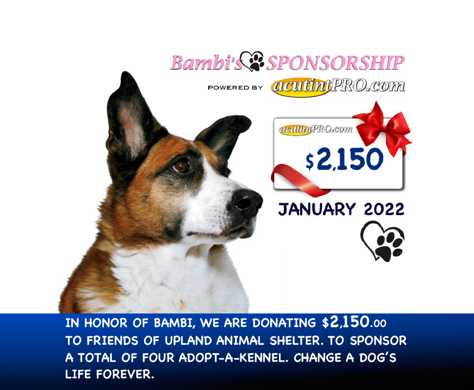 JAN 2022 Upland Shelter Sponsorship