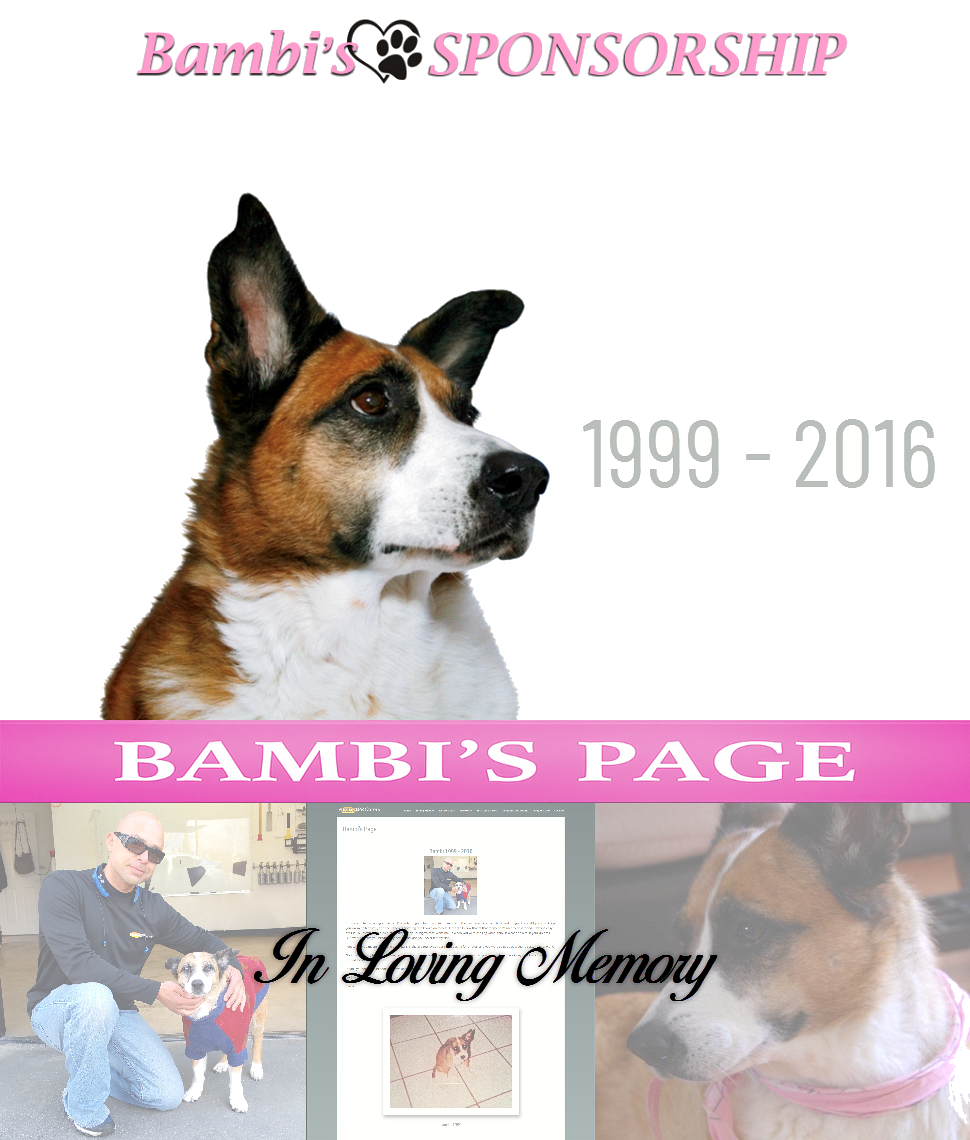 Bambi's Page