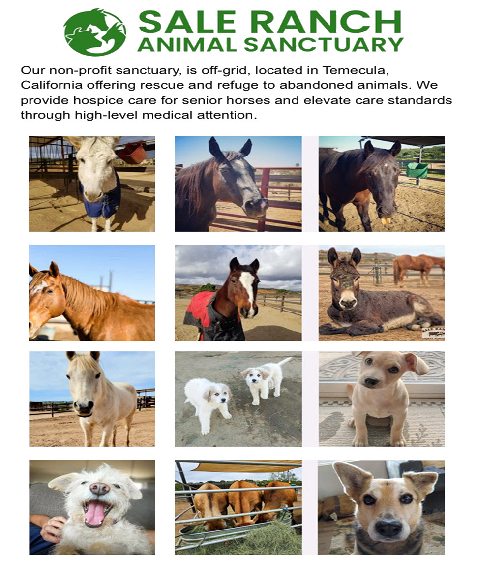 SALE RANCH Sponsor, MAY 2025