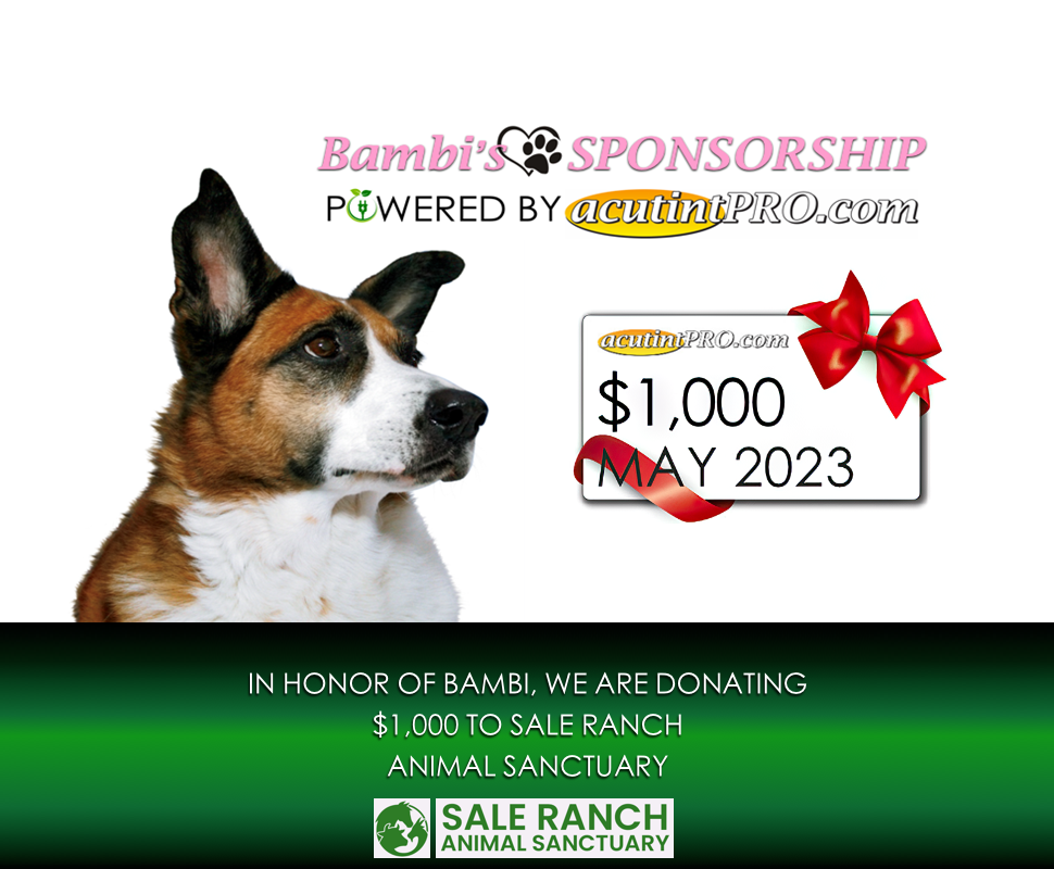 SALE RANCH SANCTUARY Sponsor MAY 2023