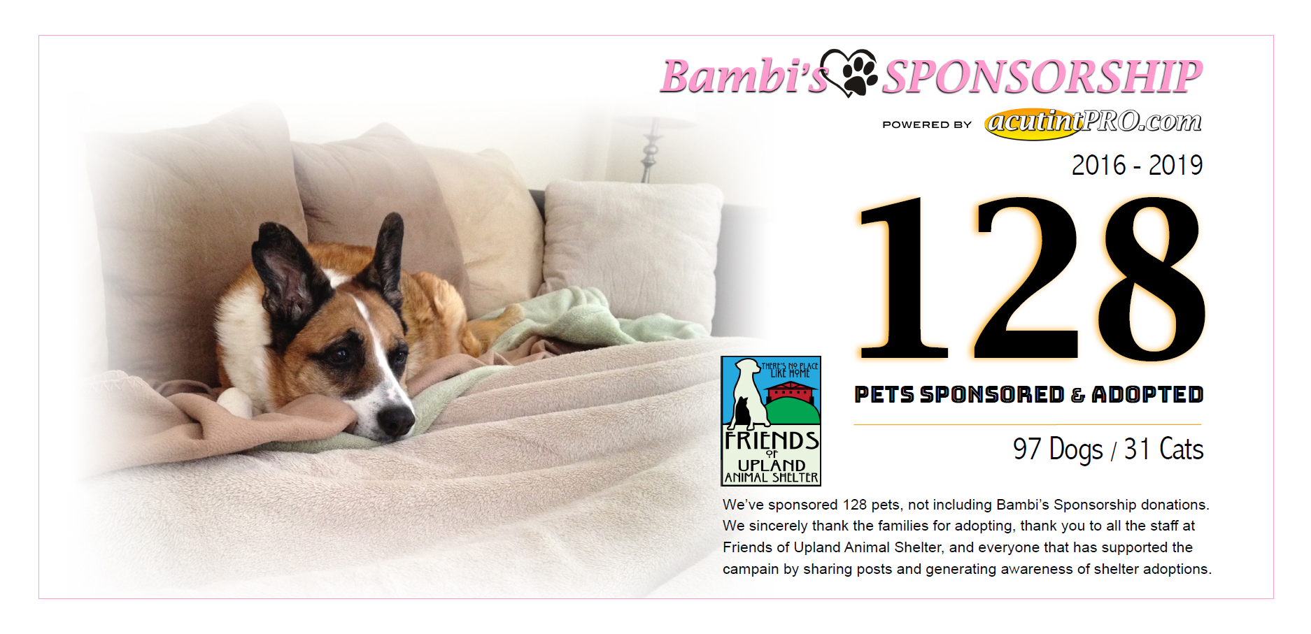 Bambi's Sponsorship Update October 2020